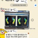 제이미 피티 스튜디오 이미지