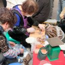 시장기물상회 이미지