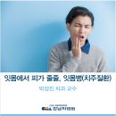 박성진치과 네이버블로그