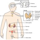 대세당한의원 이미지