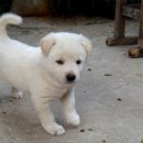 진도군청 이미지