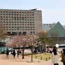 국제회계세무교육원