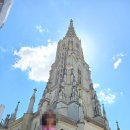 성서중심시장(성서시장,문화의거리 통합) | 베른 대성당(Cathedral of Bern) 스위스 최대 규모의 고딕 양식 대성당