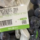 해오름달 이미지