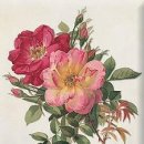 솜씨공방 이미지