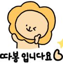 선렌탈스튜디오앤파티룸 네이버블로그