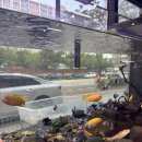 아쿠아수족관 이미지