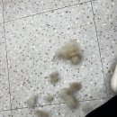 덕배쌀롱