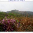 미소치재 Daum카페