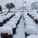 국용농장 이미지