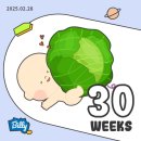 옷장이모 | 임산부프리패스/셀프 만삭사진 촬영/아기방 옷장&amp;수납장 구매(이케아 플랏사)/임신후기 단축근무 시작