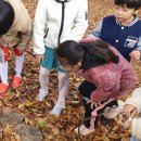 고림초등학교 이미지