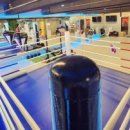 위너 복싱 이미지