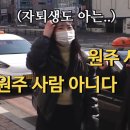 1984 분식 이미지