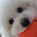 (주)그린나래 | 구미그린나래산후조리원후기(가격/ 마사지/식단/주차)/육아일기4편