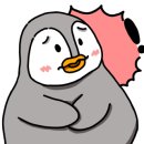 림 헤어살롱 - 평택시 | 림 헤어살롱