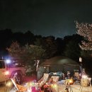 충북 진천 덤바위 캠핑장 솔직한 후기