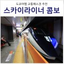 2023-0104 | 도쿄 여행 준비물 나리타 스카이라이너 도쿄 메트로 지하철 무제한 패스 할인 교환 수령