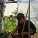 근원농장 이미지