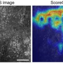 연메디칼 이미지