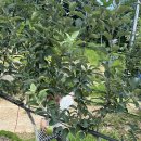 와야농장 이미지