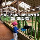 내 친구 송아지 | 김포 연보람 목장 | 송아지 우유주기부터 피자 만들기까지 완벽한 하루 + 근처 베이커리 카페 추천