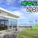 산방로8 | 제주 산방산 근처 가볼만한곳 족욕가능! 제주도 러쉬 후기