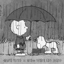 청소이야기 이미지