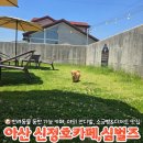 PET PRINCE (애견샵) | 아산 카페심벌즈 신정호 애견동반가능 카페 야외잔디밭 운동장