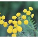 우정식품 이미지