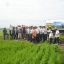 이삭 RPC 이미지