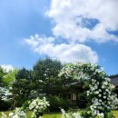 한옥촌신선마을 이미지