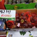 총각네수지 이미지