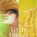 포레스트 이미지