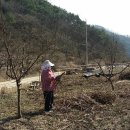 고죽1리 이미지