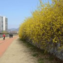 동천민박 이미지