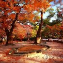 포석정 이미지