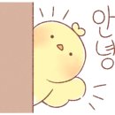 스튜디오구움
