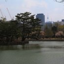서울경복궁 이미지