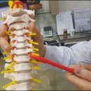 경희하늘애한의원 이미지