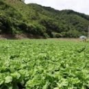 제일환경주식회사 이미지