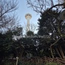 비둘기공원 화장실 | 용두산공원 주차 부산타워 예매