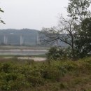 수원-1885 Daum카페
