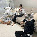댕빵소 이미지