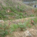 학수농장 이미지