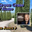 Green Green Grass Of Home 이미지