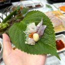 창원 중앙동 신성바다횟집, 정말 신선하고 쫄깃한 회 맛집