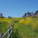 염산초등학교낙월분교장 이미지
