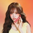 토니모리 한스경제