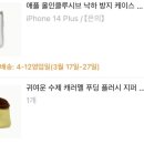 주영푸딩